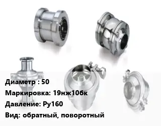 Клапан нержавеющий 50 19нж10бк Ру160 обратный, поворотный